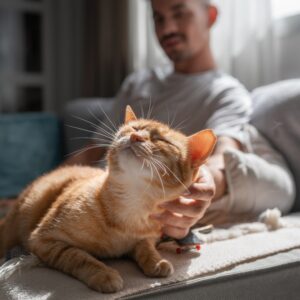 猫を飼う男性の心理は癒しがマックス状態？性格や恋愛傾向を徹底解説